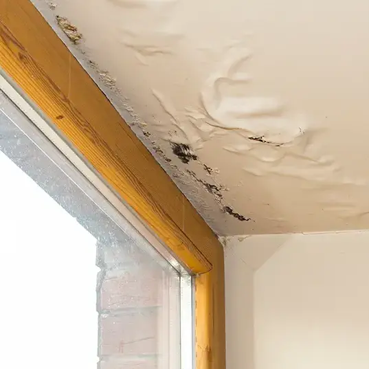 water damage on the interior of a home